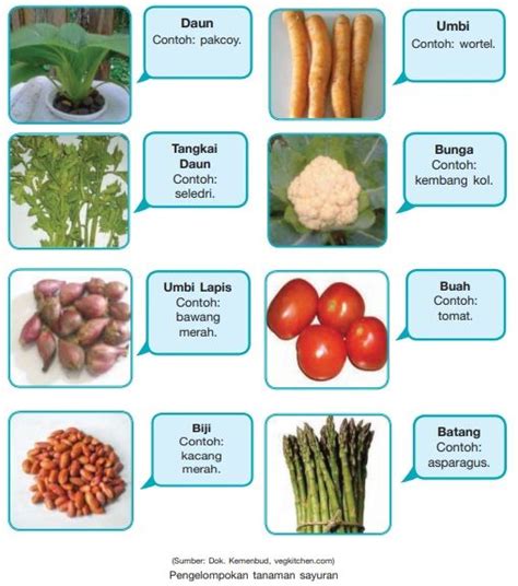 Berapa jumlah sayuran yang ada di gambar